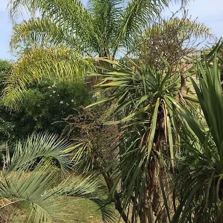 Mare E Monte , Jardin Mediterraneen Et Exotique. Ghisonaccia Exterior foto